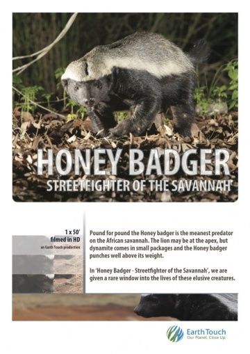 Ultimate Honey Badger